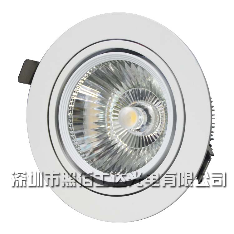 30w萬向天花射燈